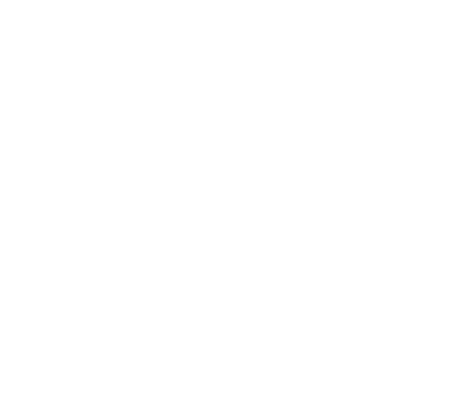 Vertex Advisory